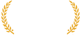 LOS ANGELES FILM CRITICS ASSOCIATION AWARD BEST ANIMATED FEATURE WINNER