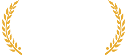 SITGES INTERNATIONAL FANTASTIC FILM FESTIVAL BEST ANIMATED FILM WINNER